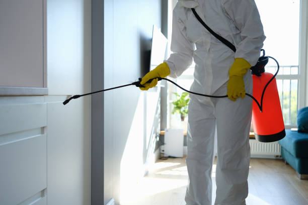 Trusted Regency At Monroe, NJ Mold Remediation Experts