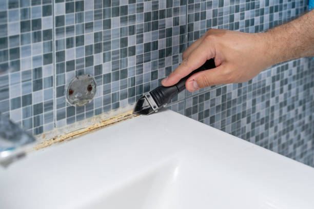 Best Black Mold Remediation in Regency At Monroe, NJ